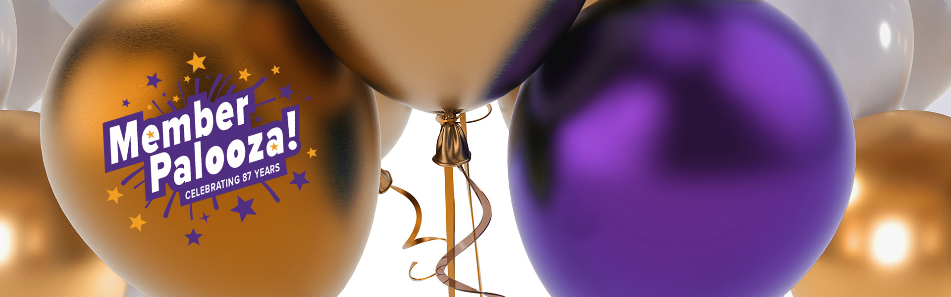 Member Palooza desktop page banner